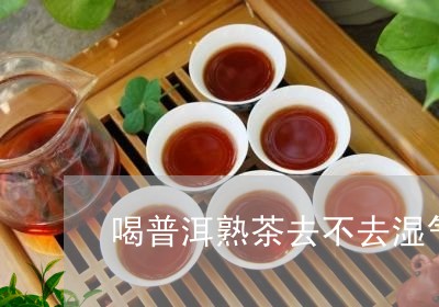 喝普洱熟茶去不去湿气/2023061341094