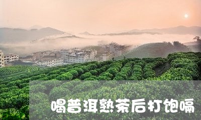 喝普洱熟茶后打饱嗝/2023042790682