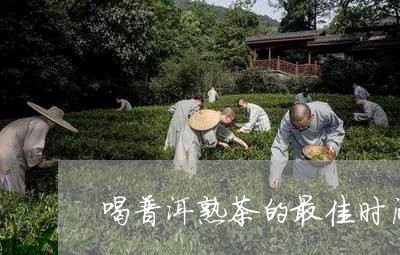 喝普洱熟茶的最佳时间/2023061303939