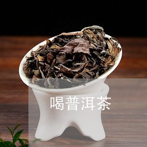 喝普洱茶/2023042795884