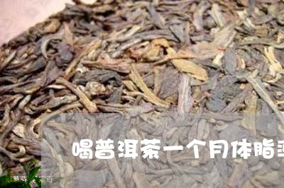 喝普洱茶一个月体脂率降了/2023112972724