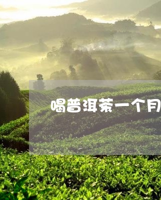 喝普洱茶一个月减几斤正常/2023082890380