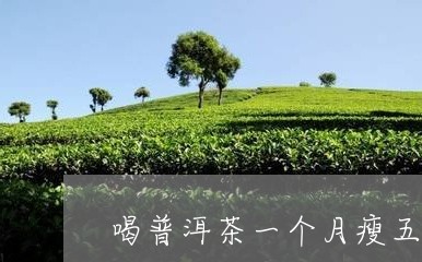 喝普洱茶一个月瘦五斤/2023092578585