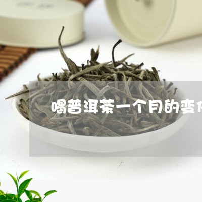 喝普洱茶一个月的变化/2023061477158