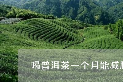 喝普洱茶一个月能减肥/2023092572035