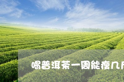 喝普洱茶一周能瘦几斤/2023092604472