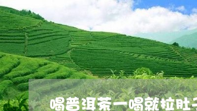 喝普洱茶一喝就拉肚子/2023092617150