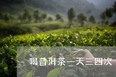 喝普洱茶一天三四次/2023042926262