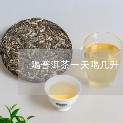 喝普洱茶一天喝几升/2023091596207