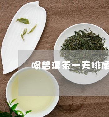 喝普洱茶一天排便6次/2023092682703