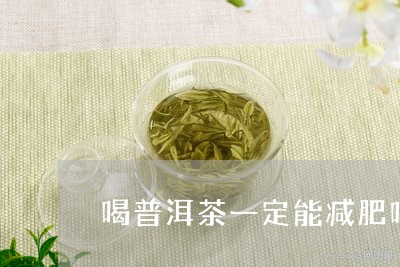 喝普洱茶一定能减肥吗/2023092629583