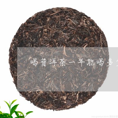 喝普洱茶一年能喝多少/2023061473828