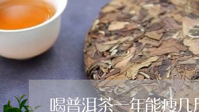 喝普洱茶一年能瘦几斤/2023092704838