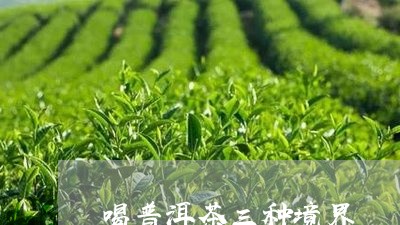 喝普洱茶三种境界/2023110532716