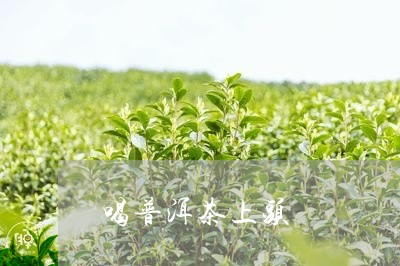 喝普洱茶上头/2023042843011