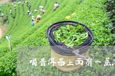 喝普洱茶上面有一层油/2023072296179