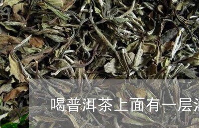 喝普洱茶上面有一层油/2023092789492