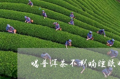 喝普洱茶不影响睡眠吗/2023092855127