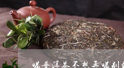 喝普洱茶不想再喝别的茶/2023103193623