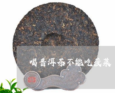 喝普洱茶不能吃菠菜/2023110558492