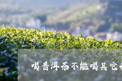 喝普洱茶不能喝其它茶/2023120671716