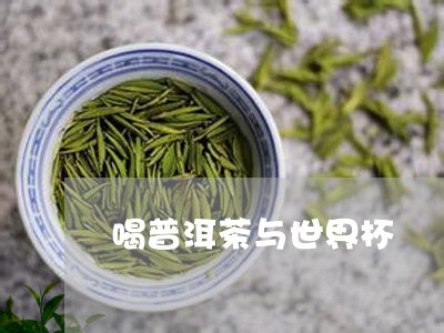 喝普洱茶与世界杯/2023120498160