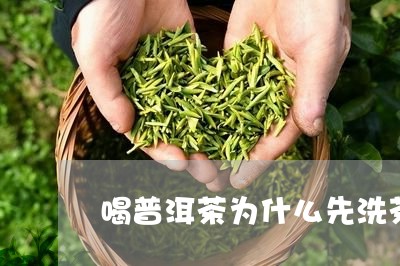 喝普洱茶为什么先洗茶/2023080308473