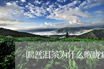 喝普洱茶为什么喉咙痛/2023072353837