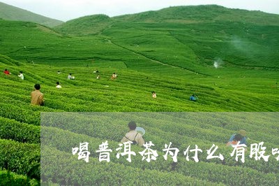 喝普洱茶为什么有股味/2023072218169