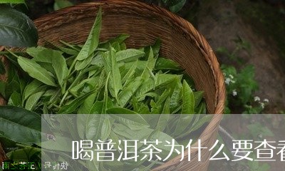 喝普洱茶为什么要查看叶底/2023110295360