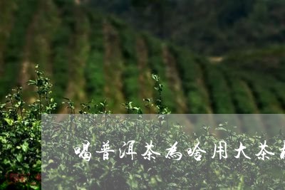 喝普洱茶为啥用大茶杯/2023121596149