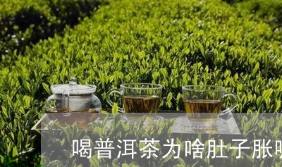 喝普洱茶为啥肚子胀呢放屁/2023082914817