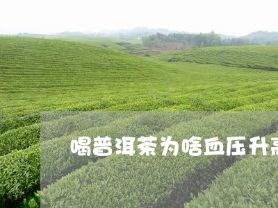 喝普洱茶为啥血压升高/2023100683625