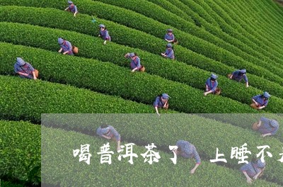 喝普洱茶了晩上睡不着/2023093074946