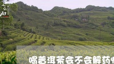 喝普洱茶会不会解药性/2023092536059