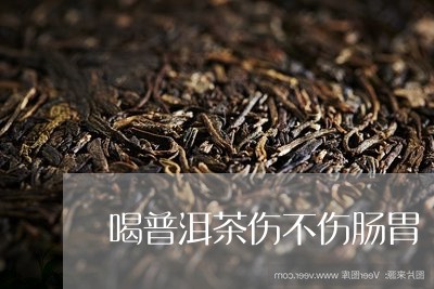 喝普洱茶伤不伤肠胃/2023091545159