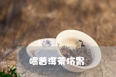 喝普洱茶伤胃/2023042950625