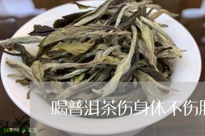 喝普洱茶伤身体不伤肝脏/2023103199582