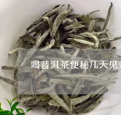 喝普洱茶便秘几天见效/2023100592236