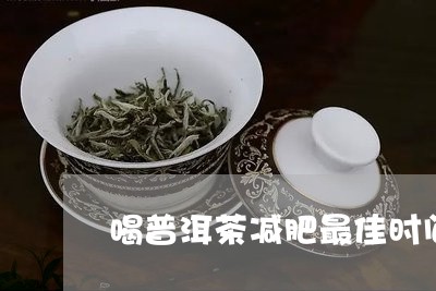 喝普洱茶减肥最佳时间/2023100533147