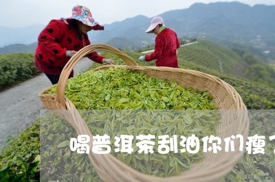 喝普洱茶刮油你们瘦了么/2023122075059