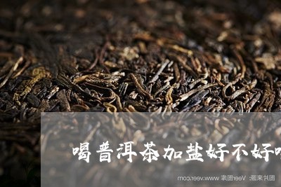 喝普洱茶加盐好不好喝/2023120616238