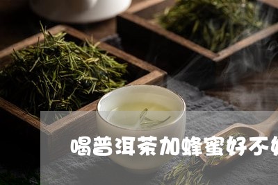 喝普洱茶加蜂蜜好不好/2023093028403