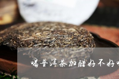 喝普洱茶加醋好不好喝/2023082939272