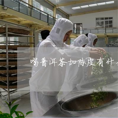 喝普洱茶加陈皮有什么好处吗/2023052714947