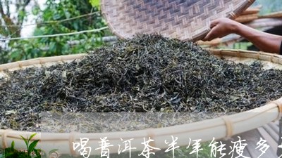 喝普洱茶半年能瘦多少/2023072477037