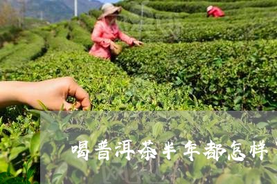 喝普洱茶半年都怎样了/2023062299694