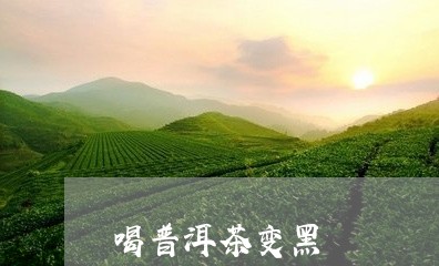 喝普洱茶变黑/2023042750312