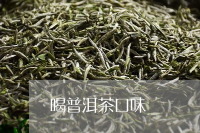 喝普洱茶口味/2023042716315