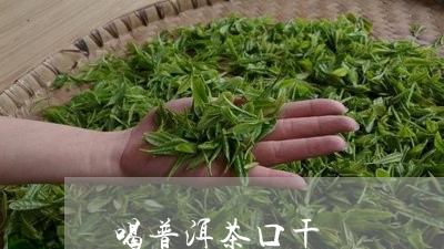 喝普洱茶口干/2023042961756